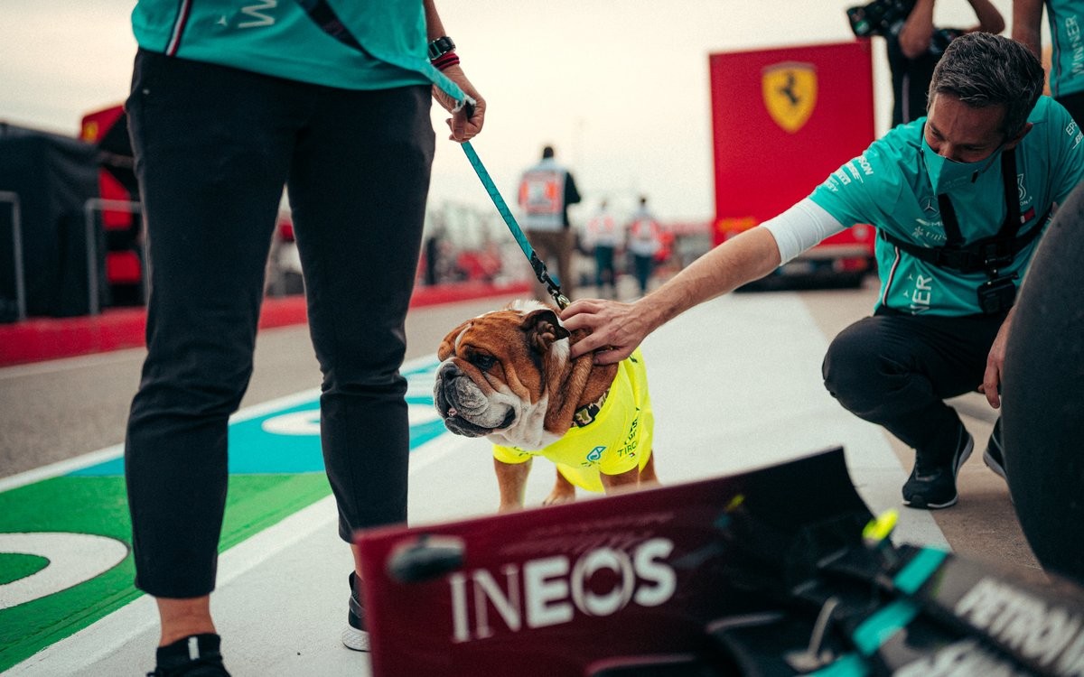 Roscoe