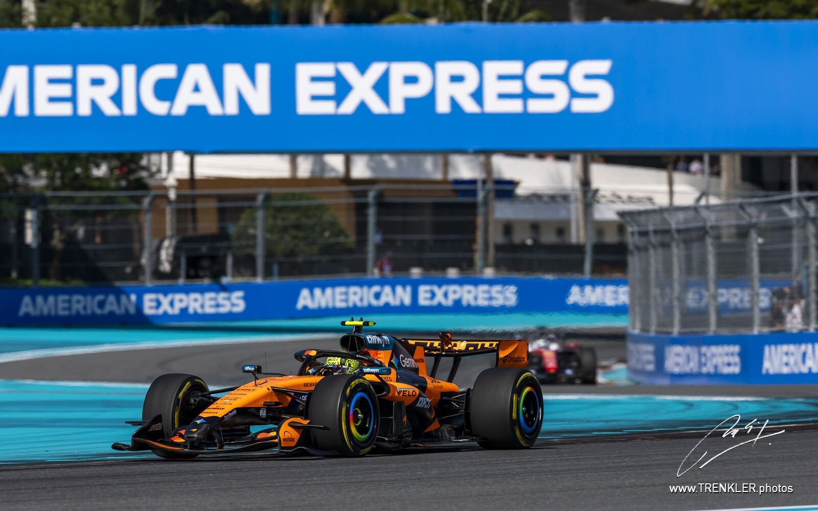 Lando Norris