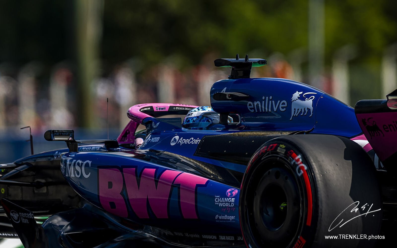 Pierre Gasly