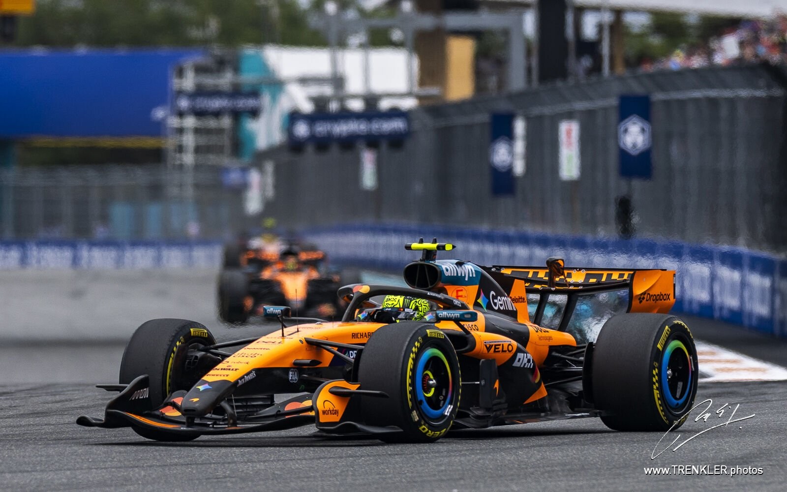 Lando Norris