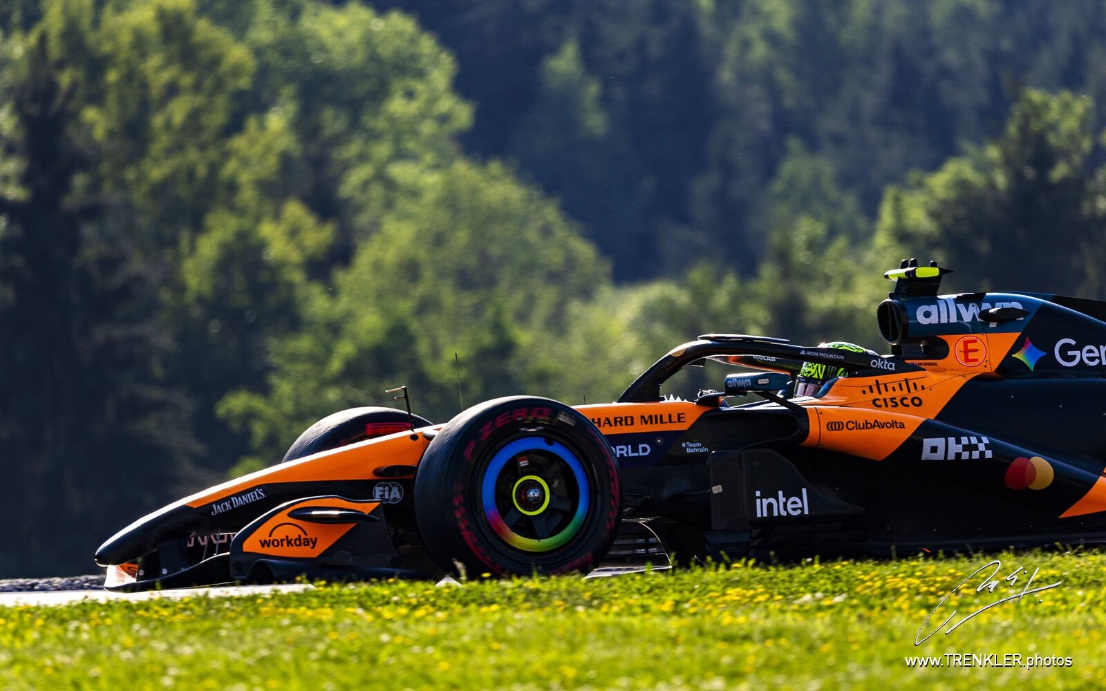 Lando Norris