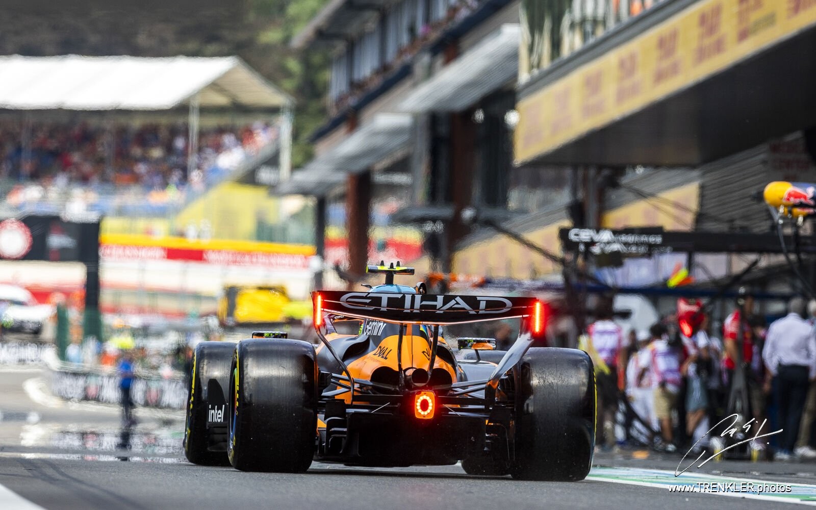 Lando Norris