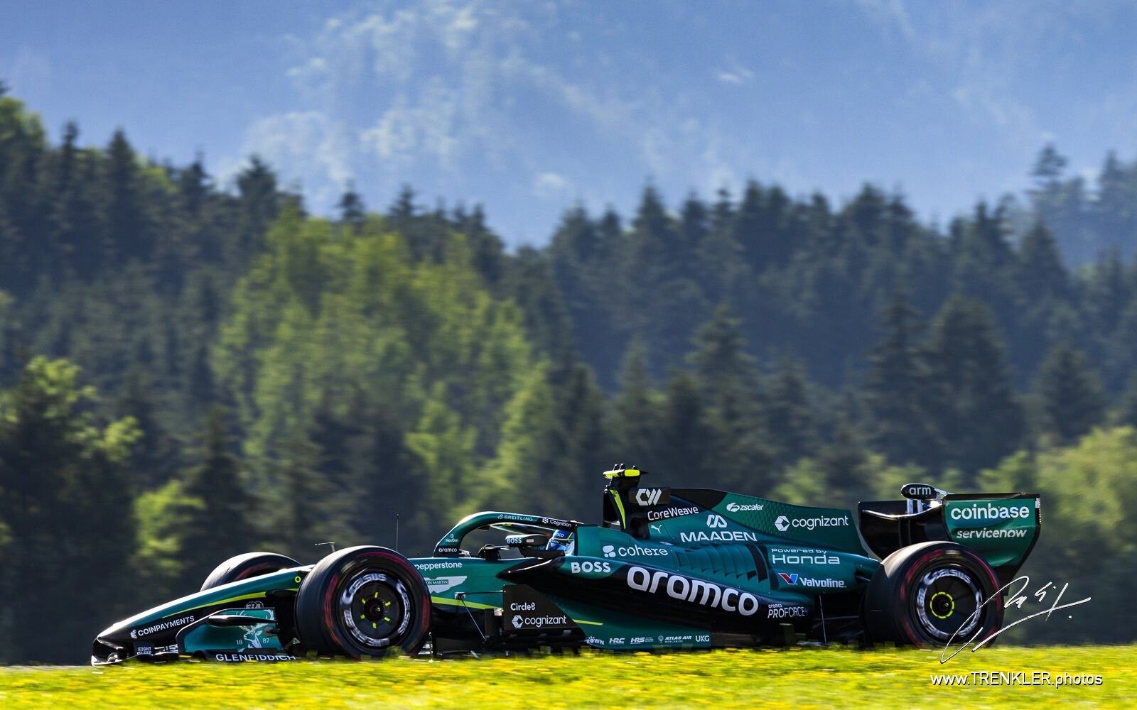 Fernando Alonso