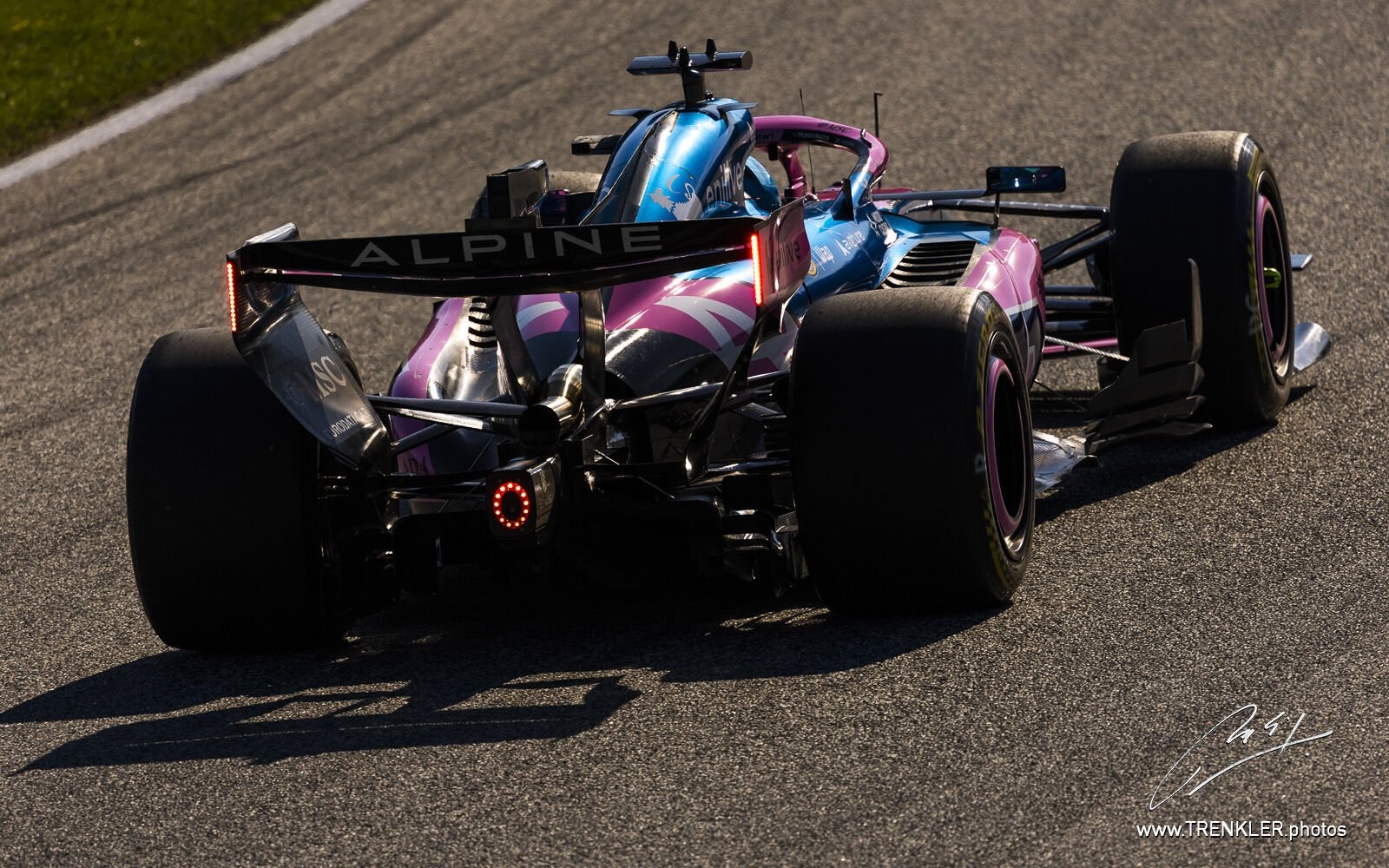 Pierre Gasly
