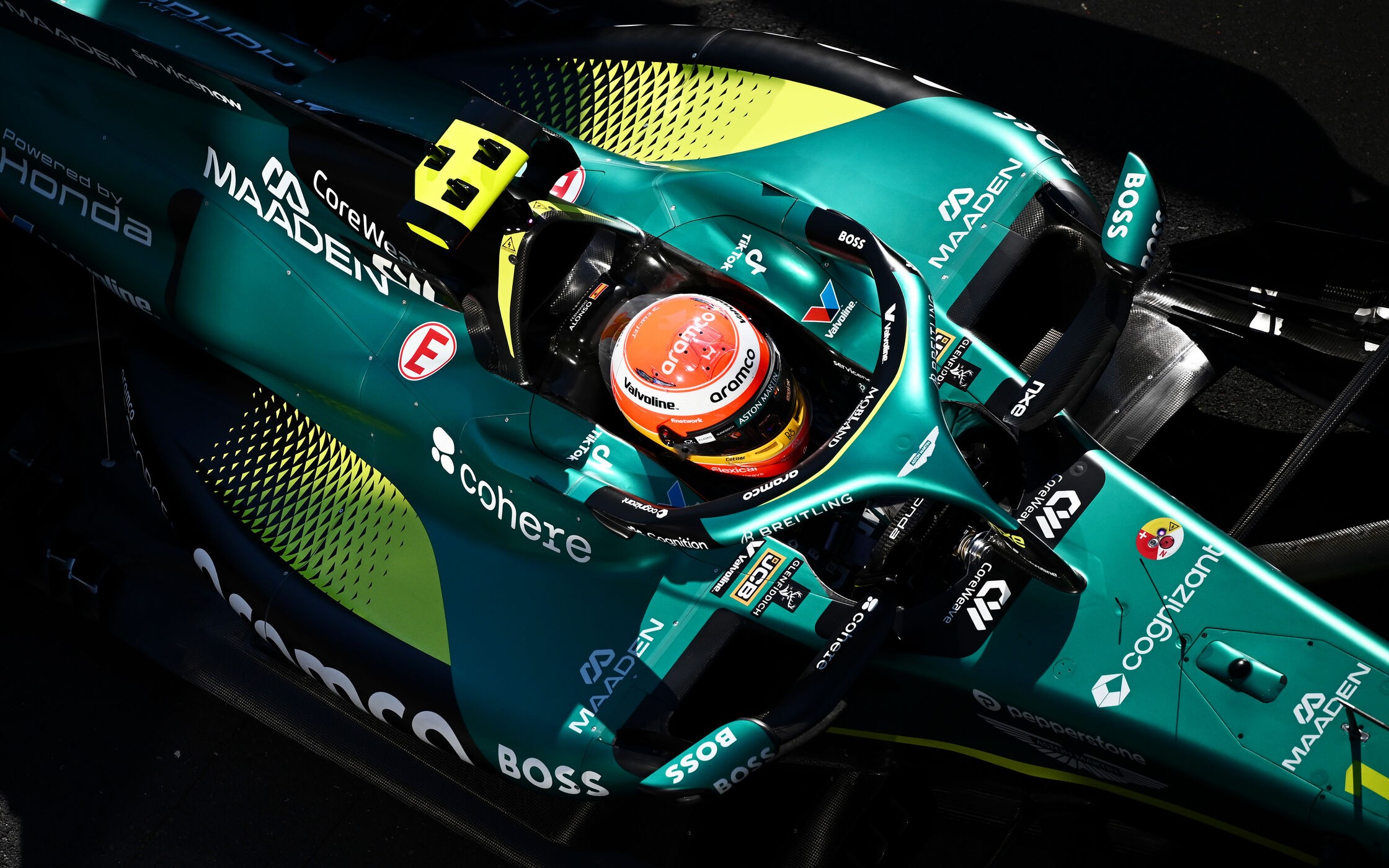 Fernando Alonso