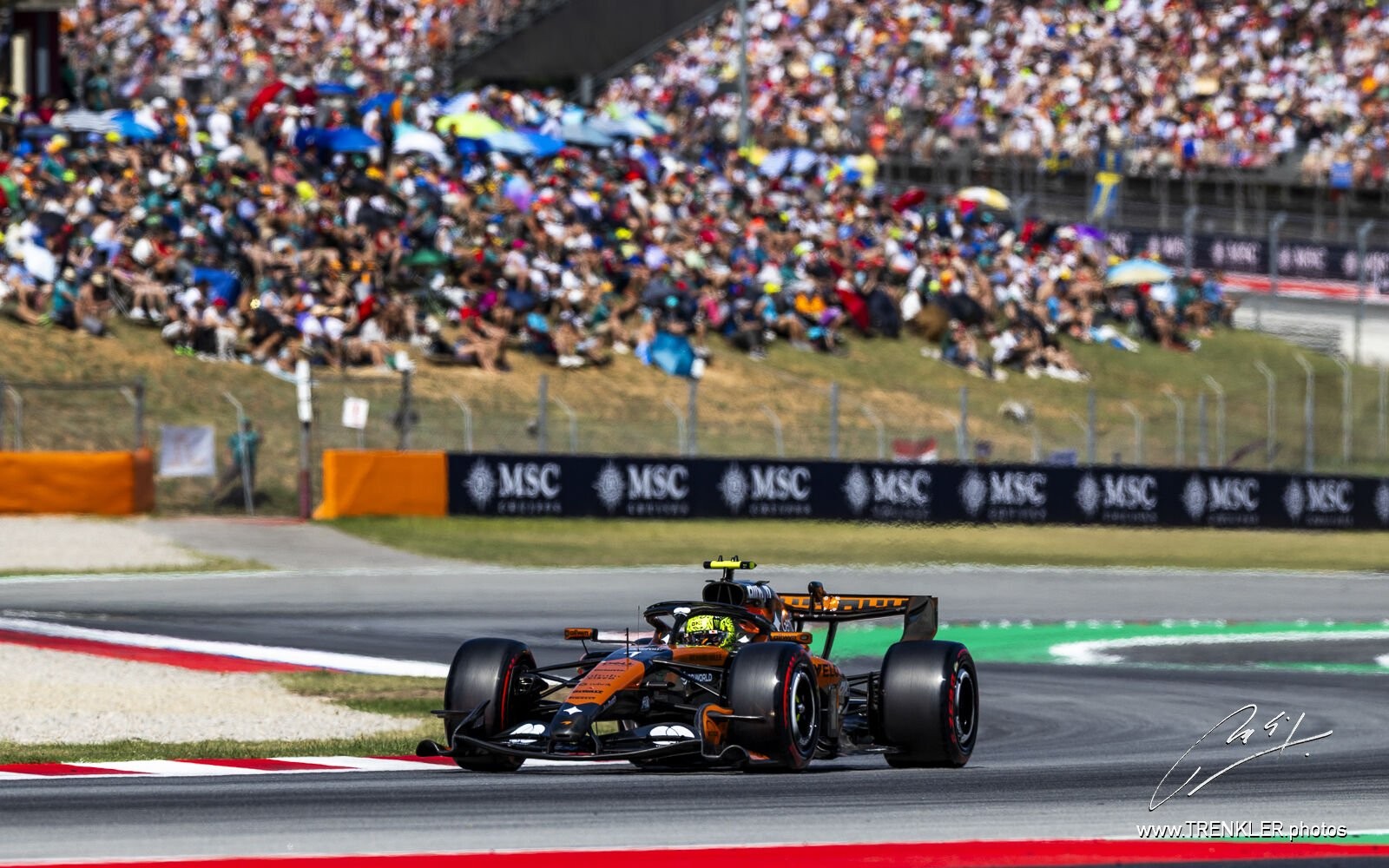 Lando Norris